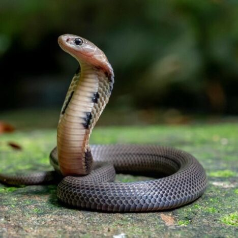 Hòa Minzy có con với ai? Sự thật về đời tư của nữ ca sĩ