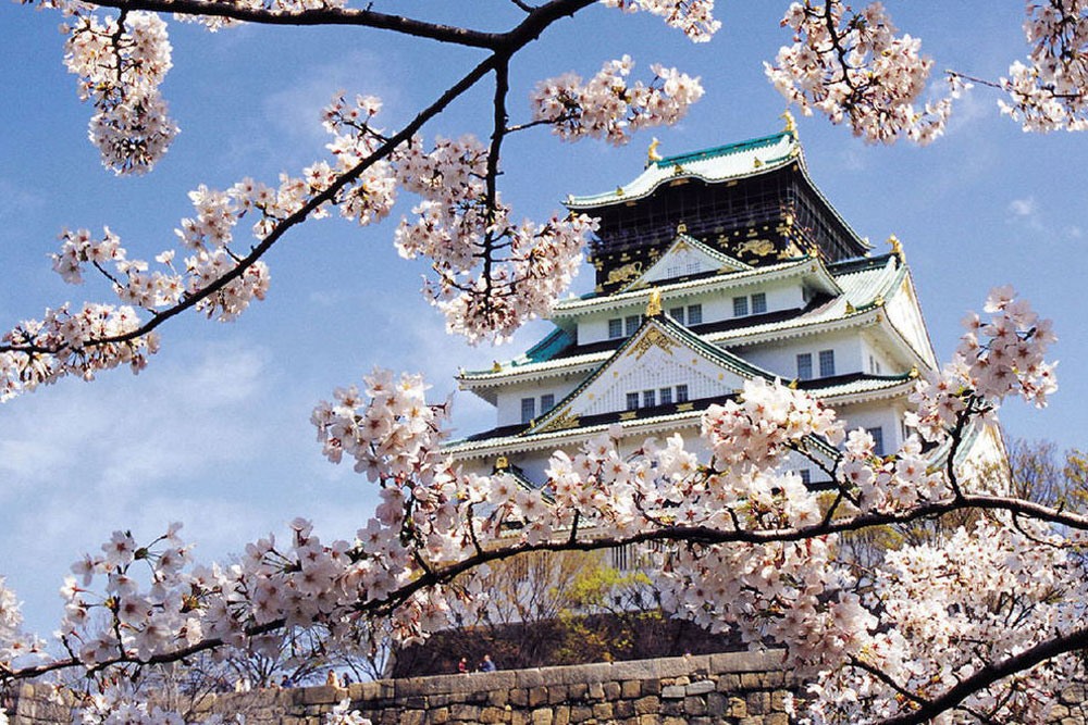 Quốc gia nào nổi tiếng với nền văn hóa samurai và hoa anh đào