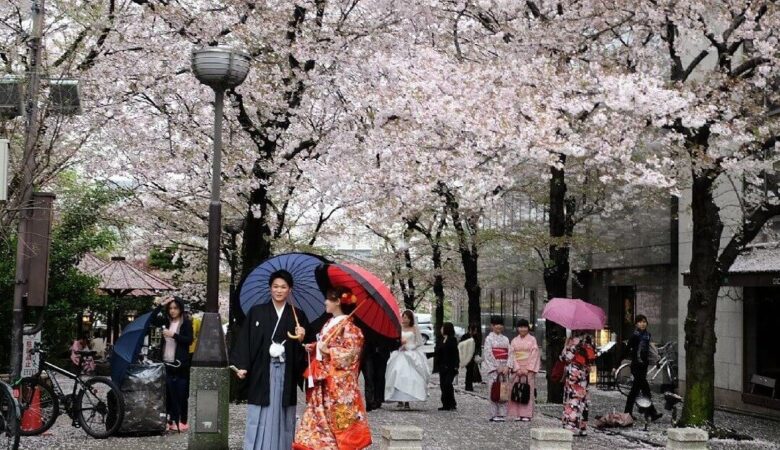 Quốc gia nào nổi tiếng với nền văn hóa samurai và hoa anh đào