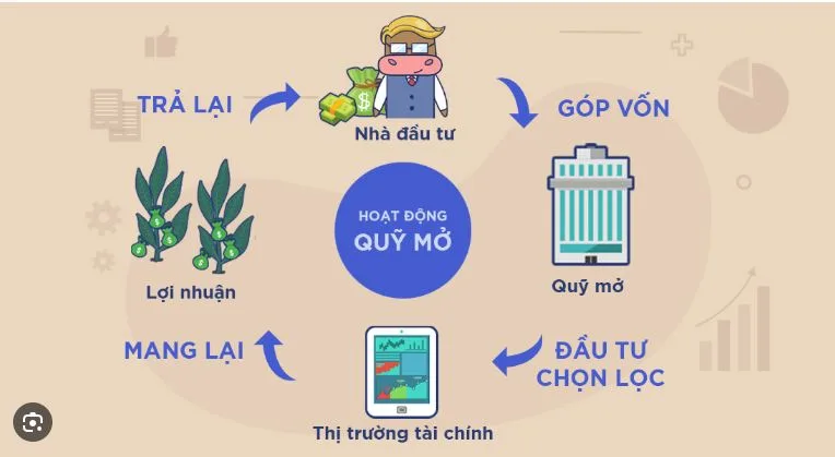 co-50-trieu-nen-dau-tu-gi-de-sinh-loi-nam-2026-ac