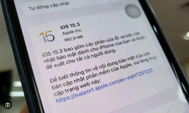 giai-dap-tai-sao-iphone-bi-loi-man-hinh-xanh